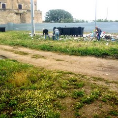 Giornata  della biodiversità