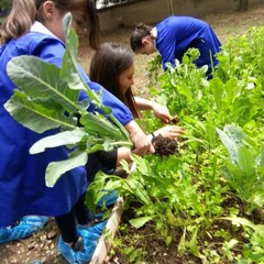 progetto di outdoor education “Un’aula a cielo aperto”