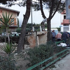 E' già tempo di Natale al piazzale Colasanto
