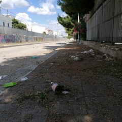 incuria e degrado in via Giotto