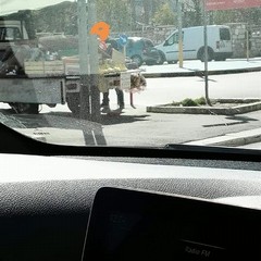 vendita di frutta nelle strade cittadine