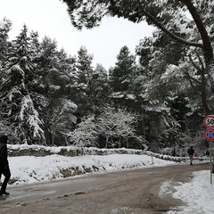abbondante nevicata nella notte nella zona della Murgia andriese