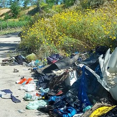 Degrado in Via Monte Faraone e via Vecchia Spinazzola