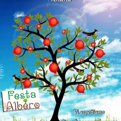 def FESTA ALBERO