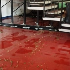 Piogge e temporali: tromba d'aria e strade allagate ad Andria