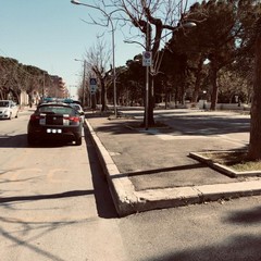 controlli da parte delle Forze dell'ordine