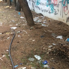 degrado ed abbandono per la pineta della villa comunale