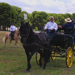 Linea verde estate torna a Castel del Monte ed Andria