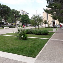 Piazza SS. Trinità ripulita da cittadini diligenti