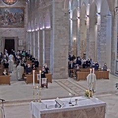 Santa Messa ad Andria per la festa della Madonna di Palestina