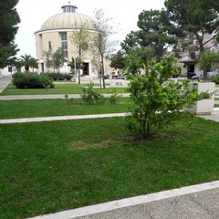 Piazza SS. Trinità ripulita da cittadini diligenti
