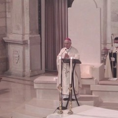 Santa Messa ad Andria per la festa della Madonna di Palestina