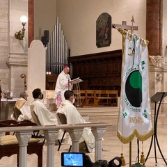 Andria rinnova la sua devozione alla Madonna Immacolata