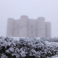 abbondante nevicata nella notte nella zona della Murgia andriese