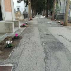 Commemorazione dei Defunti: al Cimitero rubati anche gli addobbi floreali