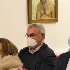 Premio Giornalistico "I Fatti, le Idee, le Opinioni – Michele Palumbo"