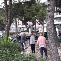 E' già tempo di Natale al piazzale Colasanto