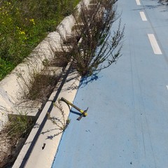 via Bisceglie-stazione di Andria Sud