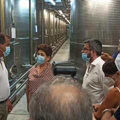 Gli olivicoltori incontrano il Ministro Teresa Bellanova