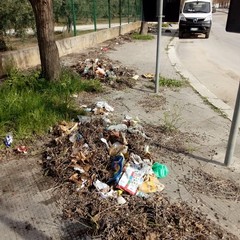 Via Stazio zona Pip