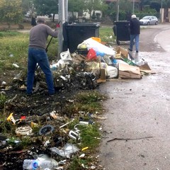 Giornata  della biodiversità