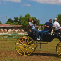 Linea verde estate torna a Castel del Monte ed Andria