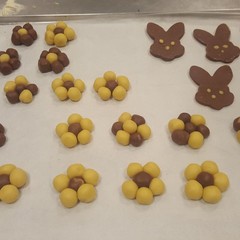 Cicetta ed il suo dolce gesto per i minori del centro "Dadalu"