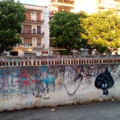ripulita strada pedonale adiacente al liceo classico, nei pressi di piazza Soffici