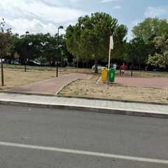 alberi messi a dimora a San Valentino