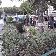 E' già tempo di Natale al piazzale Colasanto
