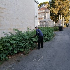 Lavori manutentivi e di pulizia per il Cimitero di Andria