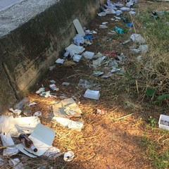 degrado ed abbandono per la pineta della villa comunale