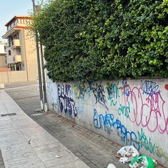 Giro di vite sull'abbandono dei rifiuti
