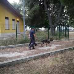 Blitz antidroga all'interno della villa comunale
