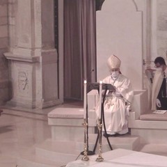 Santa Messa ad Andria per la festa della Madonna di Palestina