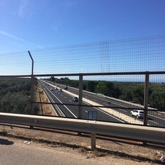 incidente stradale sulla provinciale Andria Bisceglie