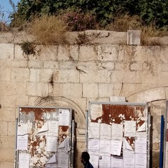 Pendio S. Lorenzo. La casa diroccata dove dimorano non solo ratti ma anche serpi ed insetti