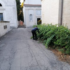 Lavori manutentivi e di pulizia per il Cimitero di Andria