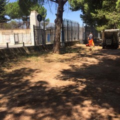 Ripulita la pineta della villa comunale: ma fino a quando sarà rispettata?