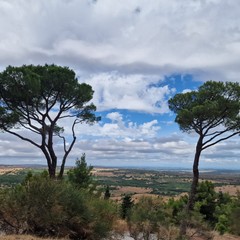 Castel del Monte e la costa di Bisceglie “rapiscono” nuovi viaggiatori