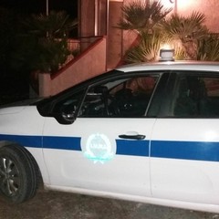 Tentativo di furto sventato dai vigilanti dell'IVRI
