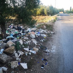 rifiuti abbandonati sulle aree pubbliche