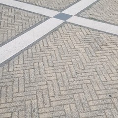 Sanificato il parco urbano dedicato a Graziella Mansi