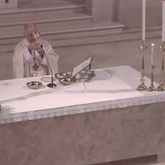 Santa Messa ad Andria per la festa della Madonna di Palestina