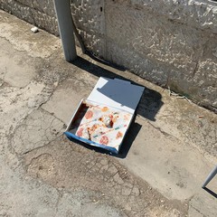 Degrado e sporcizia per piazza San Pio X