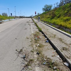via Bisceglie-stazione di Andria Sud