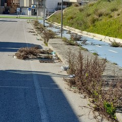 via Bisceglie-stazione di Andria Sud