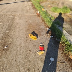 Zona PIP invasa dai rifiuti delle attività della ristorazione