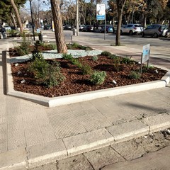 un piccolo orto botanico in viale Gramsci