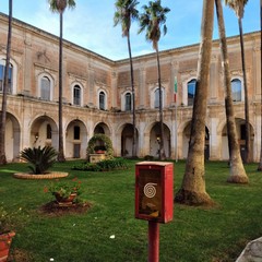 Alberi piantati al posto sbagliato: nel chiostro dell'ex monastero dei Benedettini
